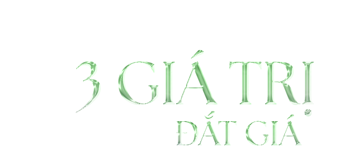 3-gia-tri-1